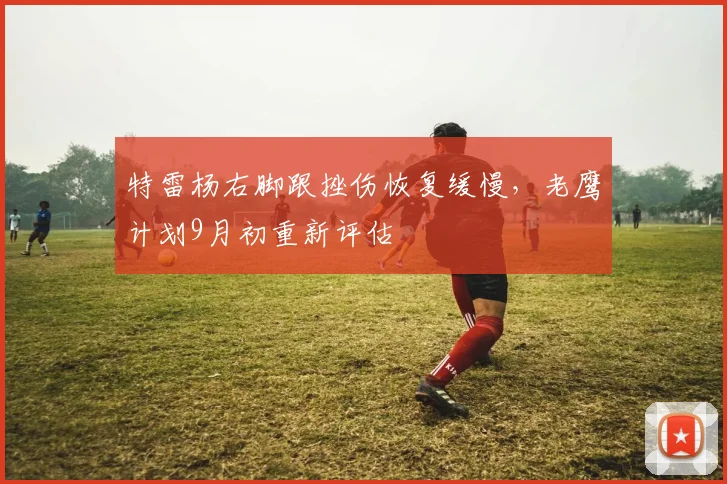 特雷杨右脚跟挫伤恢复缓慢，老鹰计划9月初重新评估