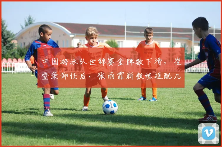 中国游泳队世锦赛金牌数下滑,崔登荣卸任后,张雨霏新教练适配几何?