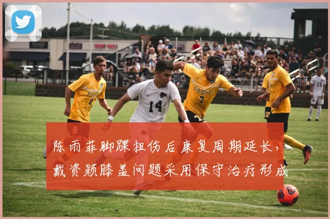 陈雨菲脚踝扭伤后康复周期延长，戴资颖膝盖问题采用保守治疗形成对比